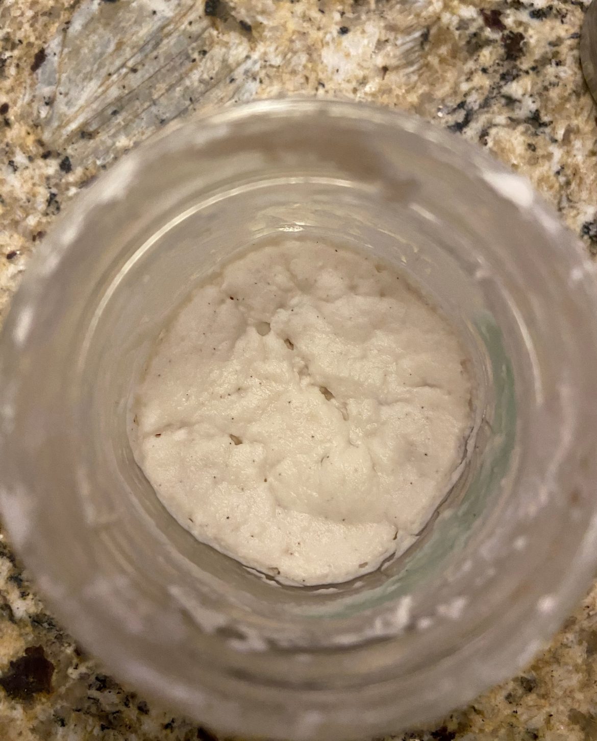 active gluten free sourdough starter