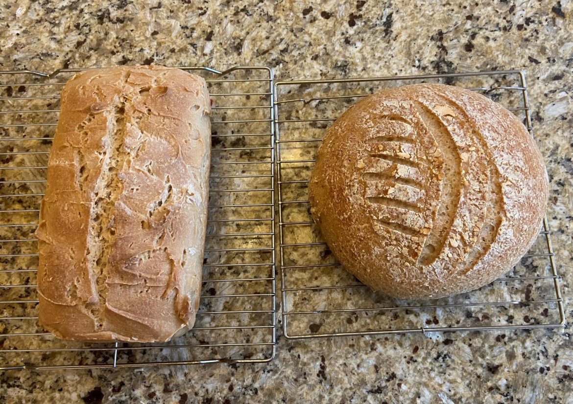 gluten free sourdough bread
