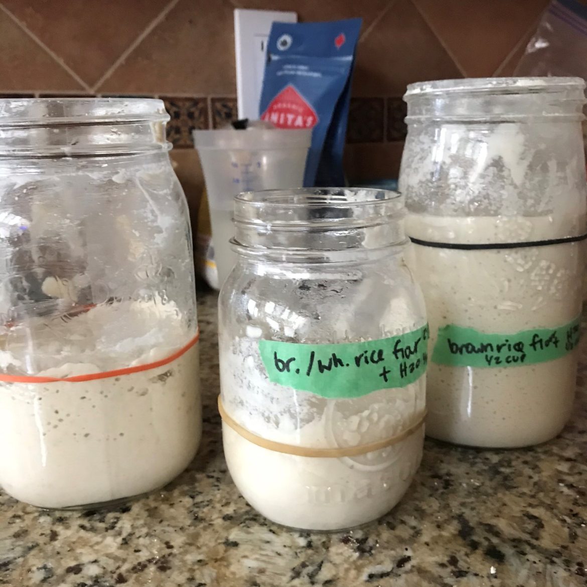 gluten free sourdough starters